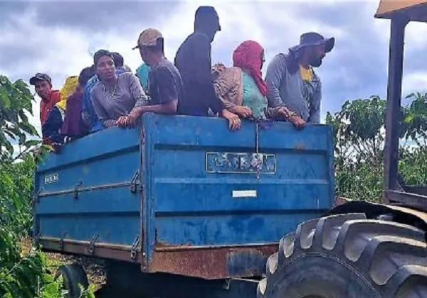 Maior operação do país resgata 593 pessoas em situação análoga à escravidão