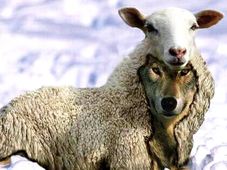 A influência dos falsos profetas protestantes na política partidária