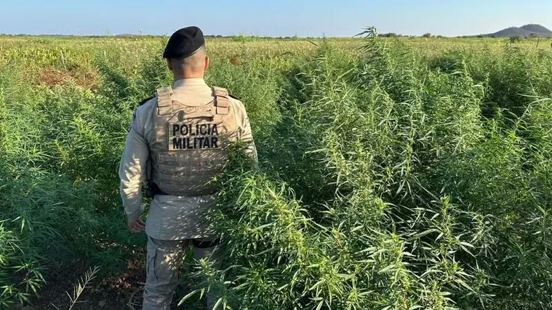 Foto: Divulgação/PM