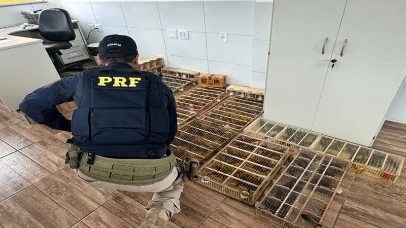 Foto: Divulgação/PRF