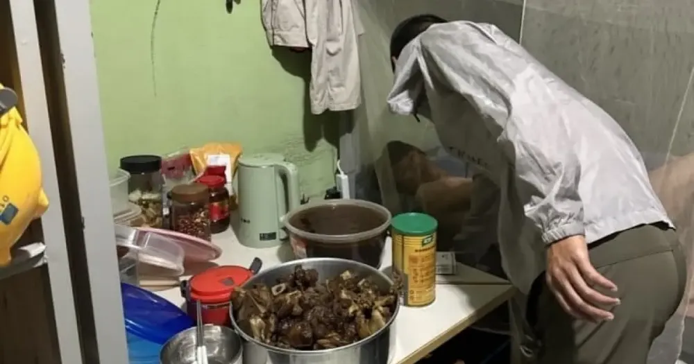 Emissão de vistos de trabalho temporário para BYD é suspenso pelo governo