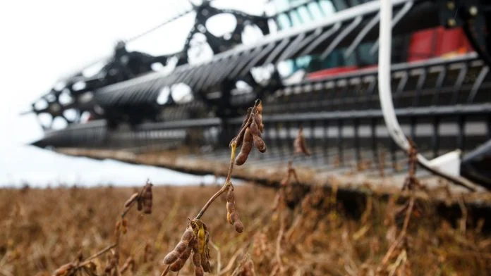 Foto: Divulgação/Ascom Seagri