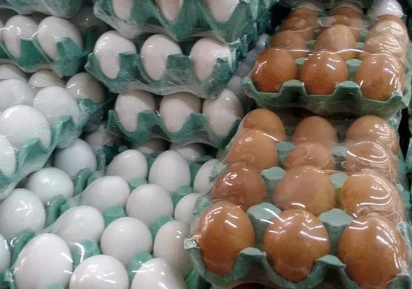 Preço dos ovos sobe até 40% no atacado e preocupa supermercados