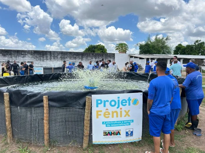 Projeto Fênix produz uma tonelada de tilápias em presídio de Feira de Santana