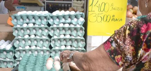 Aumento no preço dos ovos Impacta o orçamento dos brasileiros