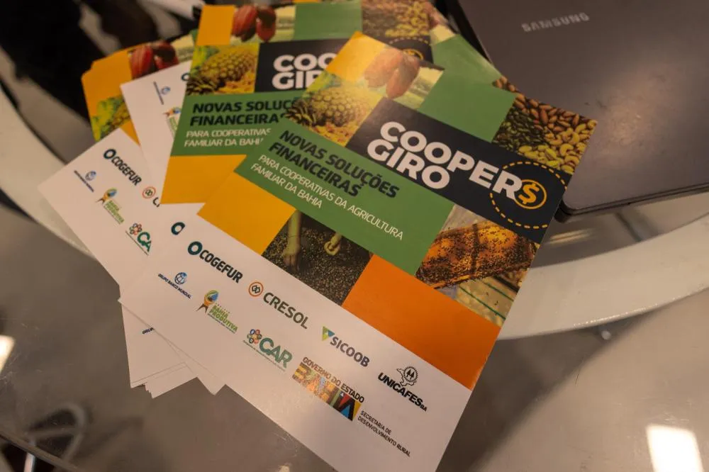 Acesso ao crédito fortalece agroindústrias familiares da Bahia e impulsiona cooperativismo