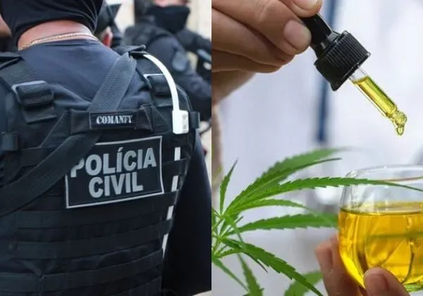 Suspeito de esquema de desvio de substâncias à base de Cannabis se entrega à polícia