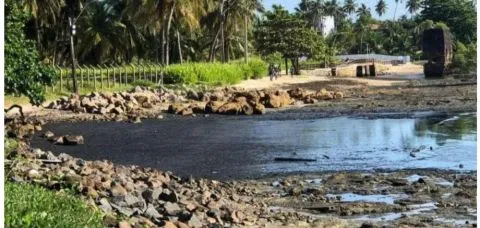 Embasa é denunciada no INEMA por descarte inadequado 