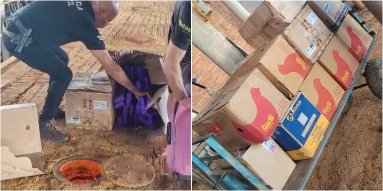 Polícia Civil incinera meia tonelada de drogas em cidade baiana