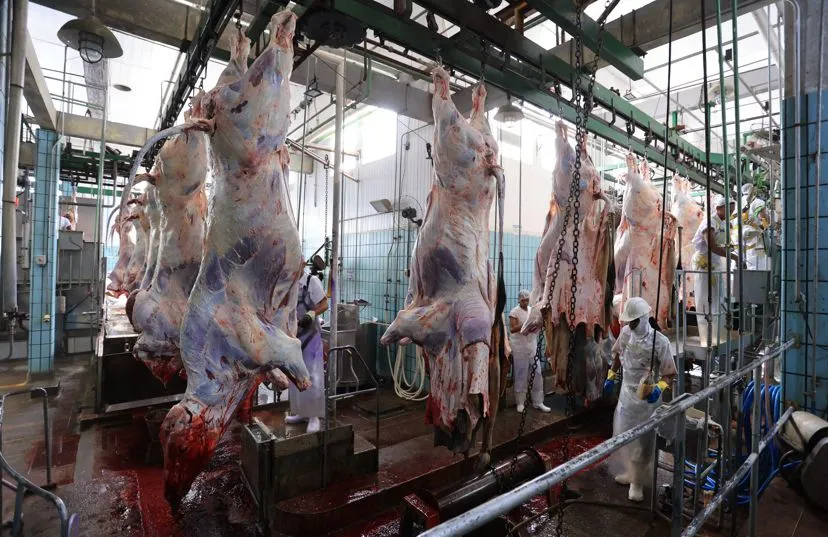 Preço da arroba do boi gordo fecha abril em R$ 300,00 com alta de 8,6%, segundo levantamento da Cooperfeira