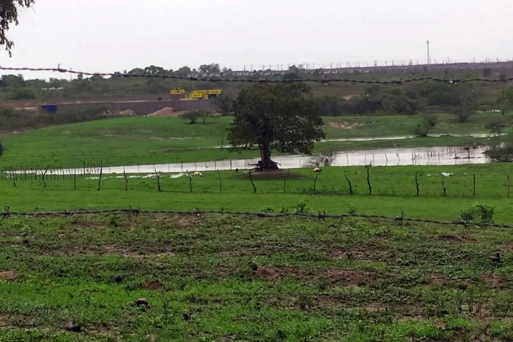 Foto: Jorge Magalhães - Arquivo