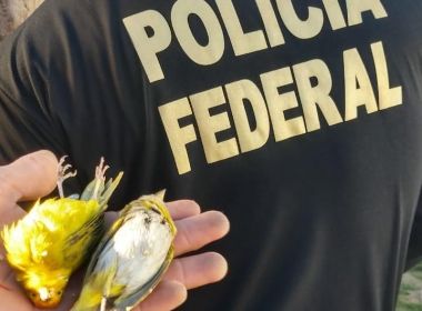 Nova operação da Polícia Federal cumpre mandados na Bahia