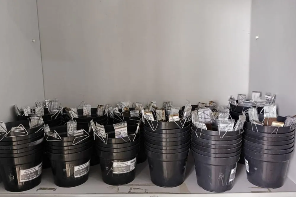 Prefeitura de Feira intensifica monitoramento do aedes com as ovitrampas