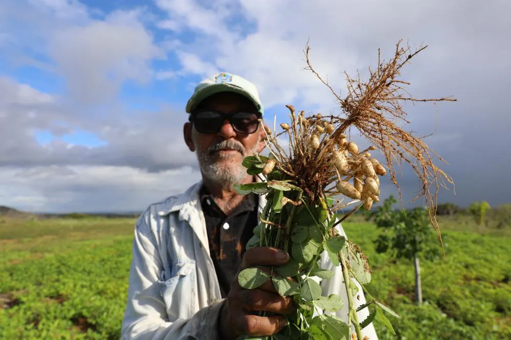 Chegada do São João aquece as vendas e fortalece quem vive da agricultura familiar