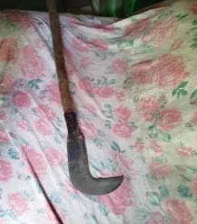 Acusado de tentar matar homem com foice é preso em Santo Amaro 