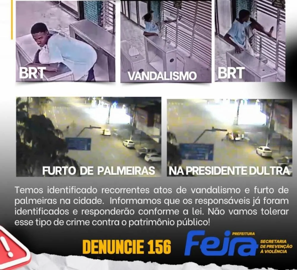 Câmeras de conhecimento facial usadas para identificar vândalos e pessoas que furtaram palmeiras