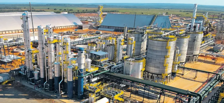 Produção de sorgo cresce 39% na Bahia e ganha espaço no setor de biocombustíveis