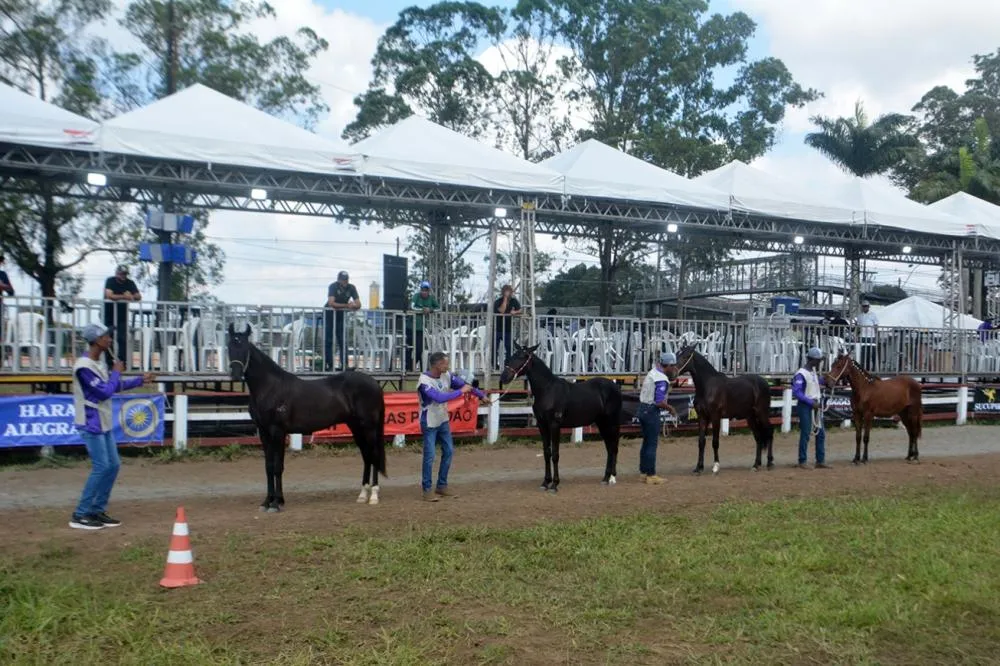 Portões do Parque de Exposição serão abertos na quarta-feira para entrada de animais
