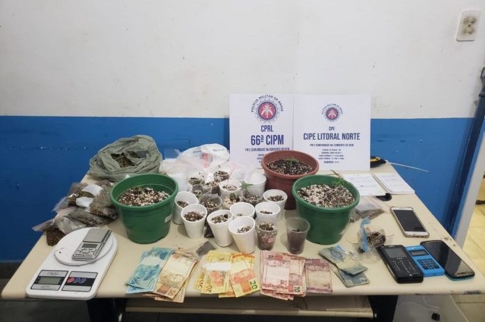 Cultivo de maconha em residência é descoberto no Alto do Papagaio, em Feira