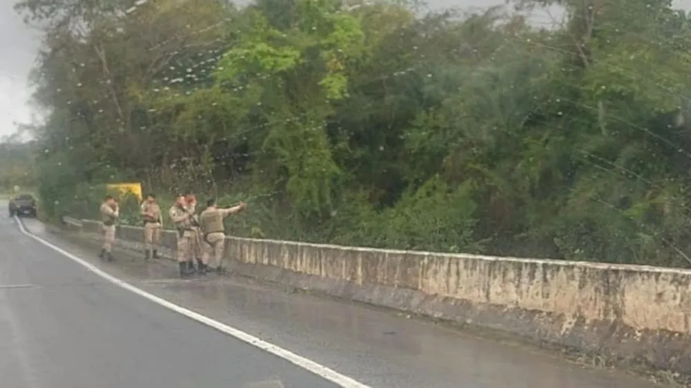 Crédito: Reprodução