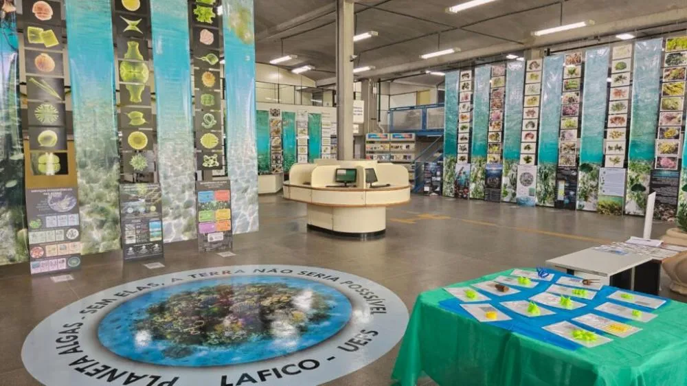 Exposição “Planeta Algas” chega à UEFS e transforma Feira de Santana em porta de entrada para o mundo das algas