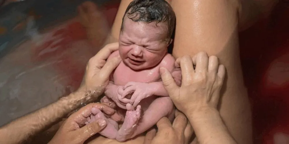 Fotografia vencedora, por Ana Victória Otoni