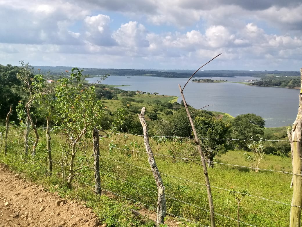 Usuário do transporte público coletivo no distrito de Ipuaçu reclama de desassistência
