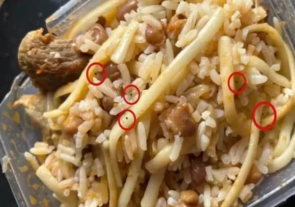 Adolescente de 17 anos tenta envenenar pais e primo após namoro ser proibido