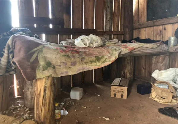 Brasil atinge recorde histórico de denúncias de trabalho escravo em 2025