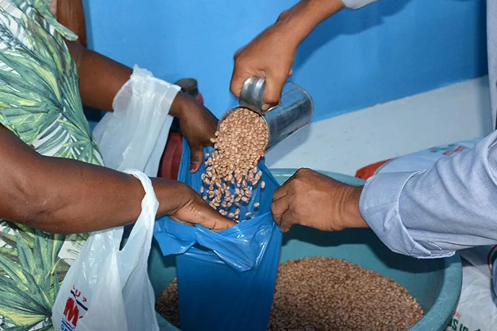 Distribuição de sementes de feijão e milho prevista para o Dia de São José