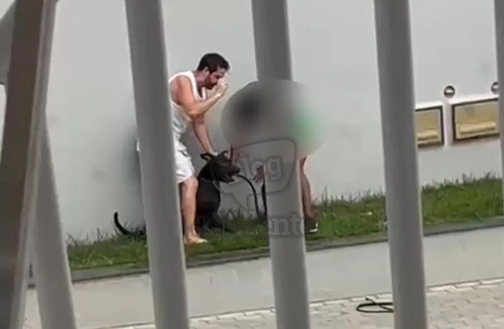 Briga entre cães termina em agressão a mulher em Santo Antônio de Jesus