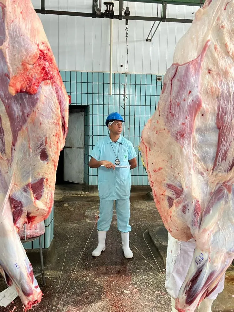 Arroba do boi fecha em R$ 330 e mercado segue firme mesmo na Quaresma