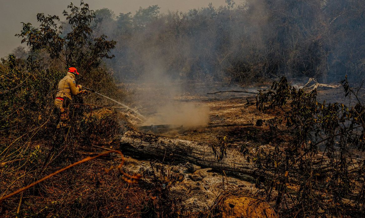 Governo federal confirma ajuda no combate a incêndios no Pantanal