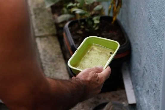 Foto: Divulgação / GOVBA