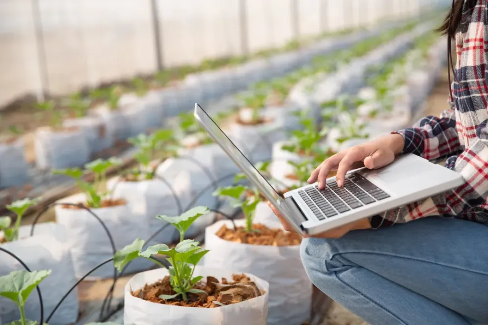 Tecnologia a serviço do desenvolvimento impulsiona o agronegócio