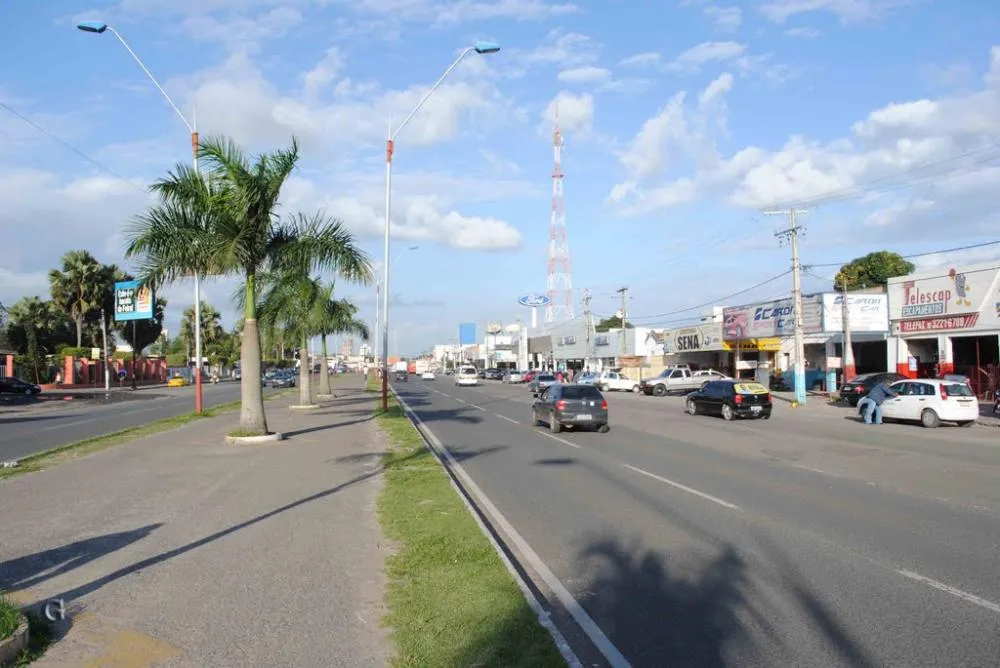 Abandono e morte gradual de árvores na Avenida Presidente Dutra, Feira de Santana