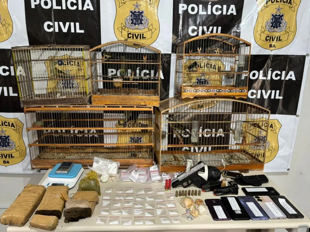 Quatro suspeitos de envolvimento com organização criminosa são presos pela Polícia Civil em Santo Estêvão