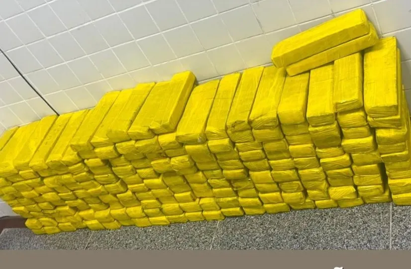 PM encontra cerca de 200 quilos de maconha armazenados em freezer durante operação no SIM
