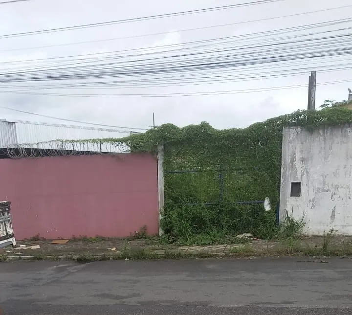 Terreno abandonado da Embasa preocupa moradores por risco de proliferação do Aedes aegypti