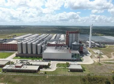 Risco de fechar fábrica em Alagoinhas agita matriz da Heineken na Holanda