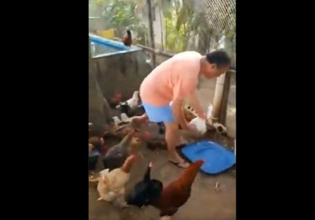 Rui Costa faz publicação cuidando de animais e vídeo viraliza nas redes sociais; veja