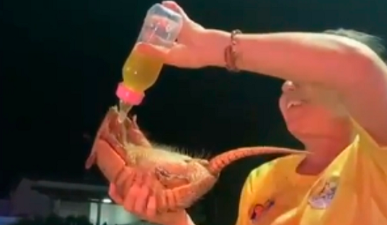 Após dar bebida alcoólica a tatu, mulher amarra animal em moto e o arrasta; veja