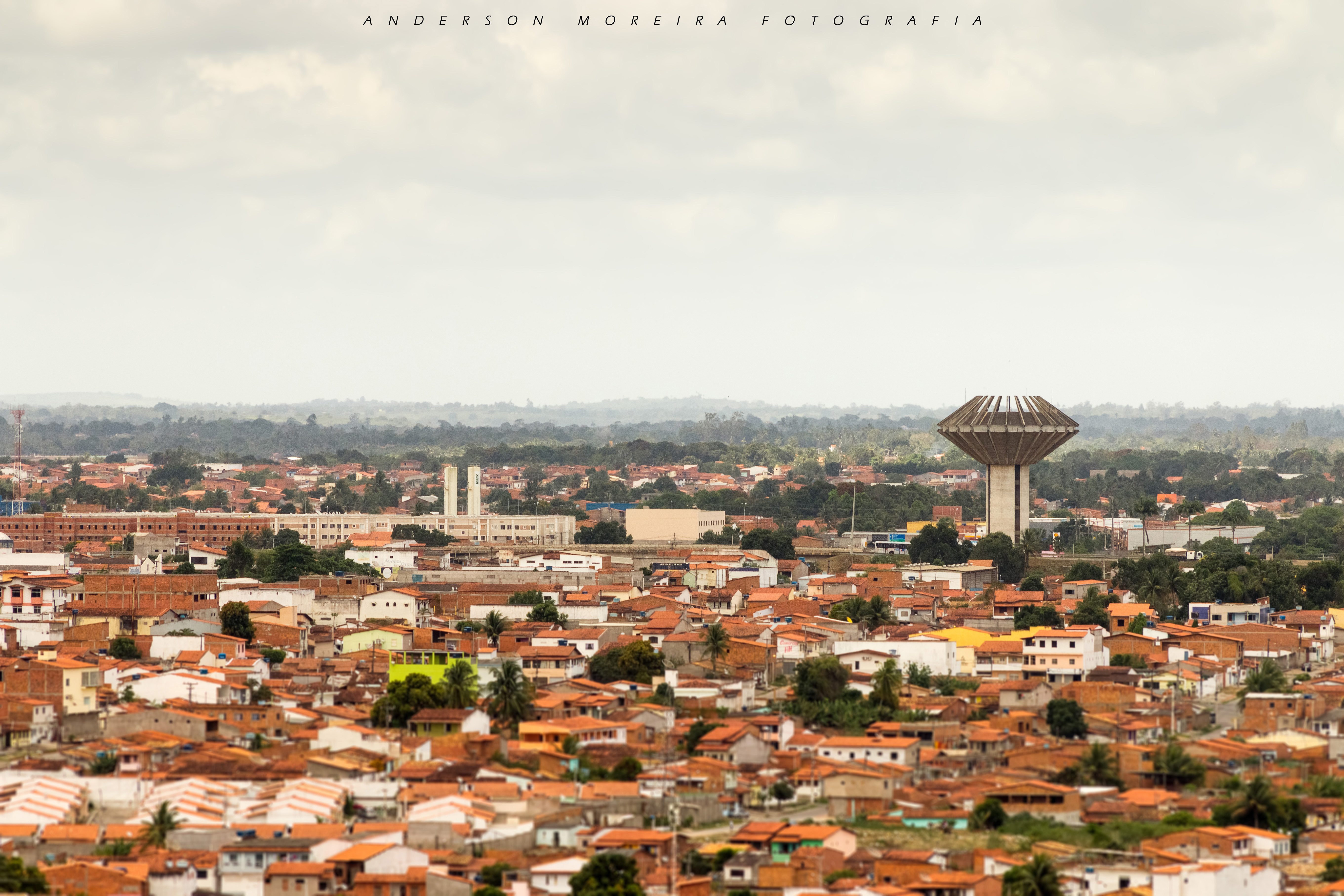 Mostra da Diversidade Cultural apresenta mais de 40 projetos feirenses até o final de 2020