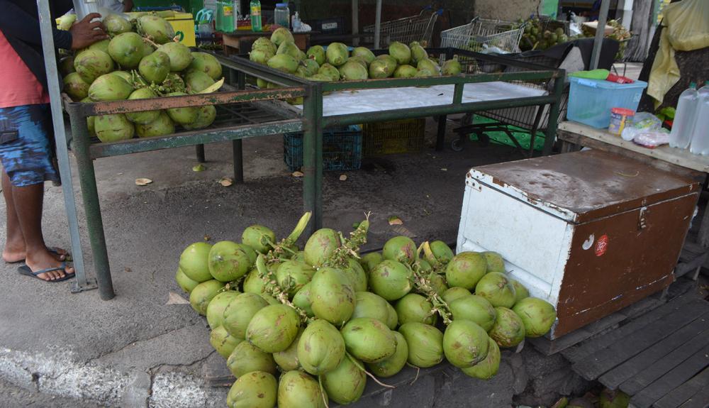 Pirelli vai usar coco seco como fonte de energia