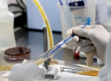 Investigação identifica 11 casos de superfungo resistente a medicamentos na Bahia