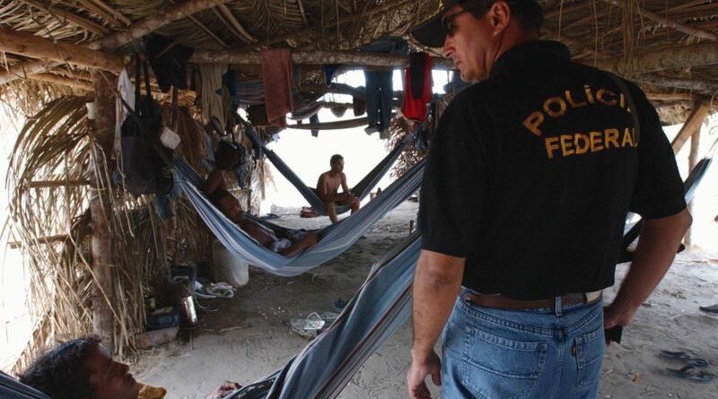 Fiscais resgataram quase mil pessoas em situação análoga à escravidão em 2020