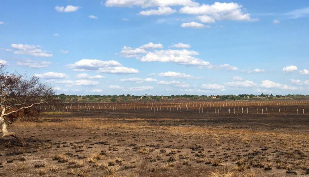 Incêndios em áreas de preservação em Feira de Santana são preocupantes