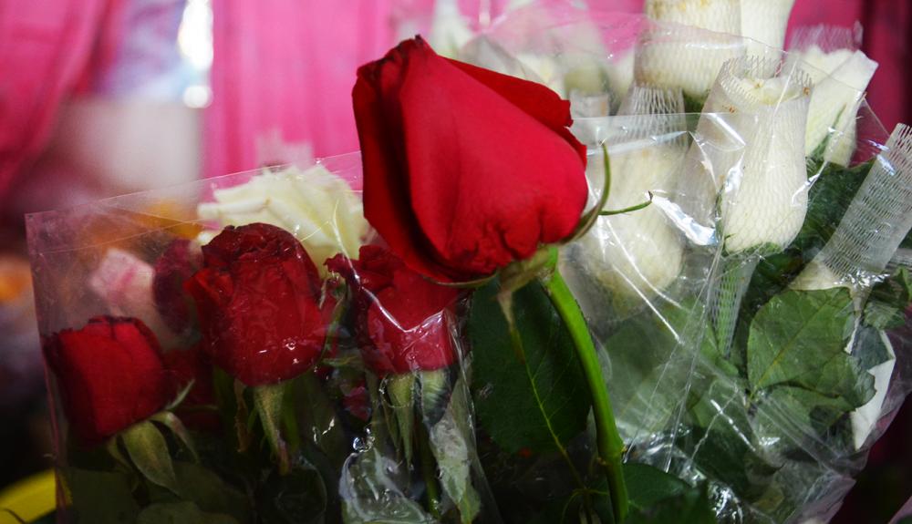 Venda de flores está permitida neste domingo (7) em Feira de Santana