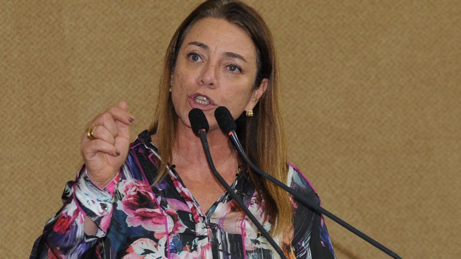 Colegiados deverão discutir 