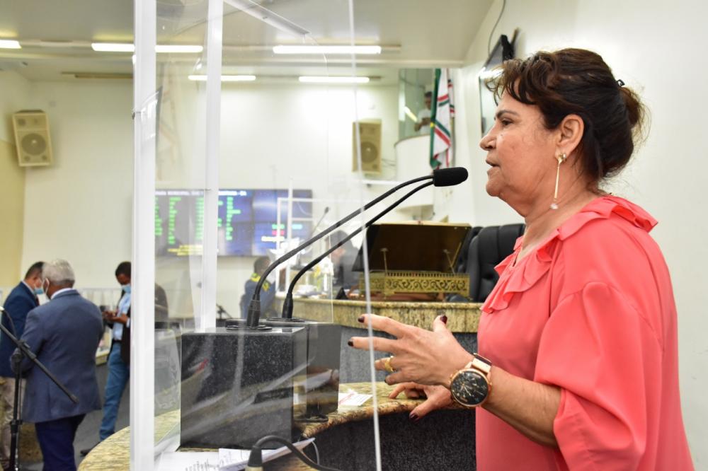 Poder público não cuidou do camelô durante 20 anos, diz vereadora